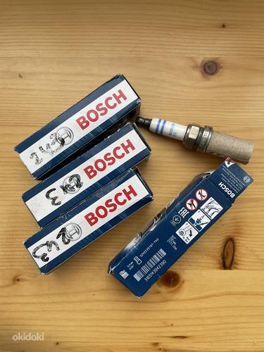 Bosch süüteküünlad (foto #1)