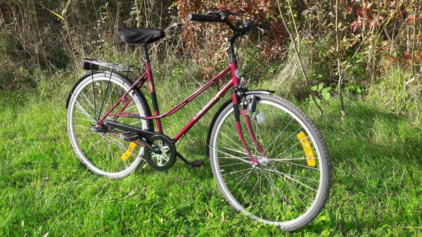 NORRA HOOLDATUD JALGRATAS "DBS CRUISER"