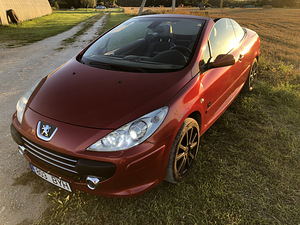 CABRIO PEUGEOT 307 (6 foto / 15)