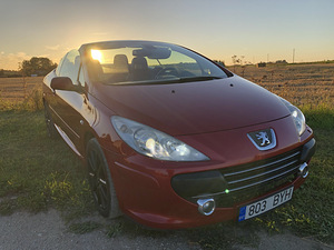 CABRIO PEUGEOT 307 (7 foto / 15)