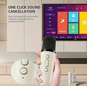 Kaasaskantav LED-valgusega karaokesüsteem kahe mikrofoniga (6 foto / 6)