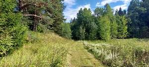 13208 Kuremäe-Kaidma tee, Kaidma, Alutaguse vald, Ida-Virumaa (2 фото из 13)