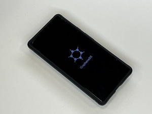 Google Pixel 6, Graphene OS (1 foto / 3)