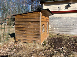 Koerakuut (3 foto / 3)