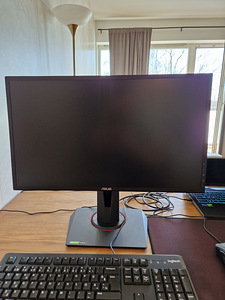 Монитор Asus VG248QG 24" 165Hz (1 фото из 1)