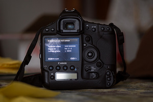 Canon 1 Dx+Canon 35-350L (2 foto / 3)