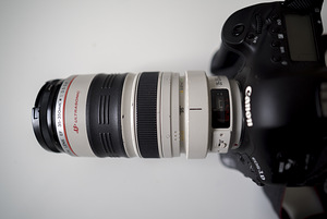 Canon 1 Dx+Canon 35-350L (3 foto / 3)