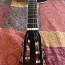 Акустическая гитара серии Eko NXT (фото #2)