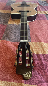 Akustiline kitarr Eko NXT series (2 foto / 5)