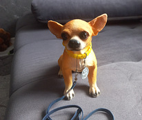 Chihuahua kujuke