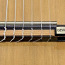 Klassikalise kitarri helipea GEWA CG - 1 ( uus ) (foto #1)