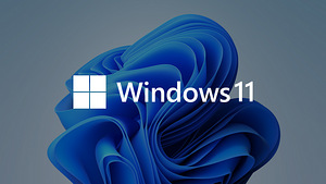 Windows 11 paigaldamine (1 foto / 1)