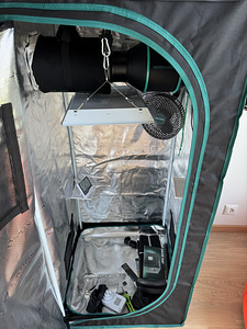 MARS HYDRO TS600 kasvutelk (4 foto / 4)