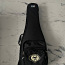 Protection Racket Electric guitar case (foto #1)