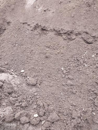 TURBAMULD MULD turbaga must muld (foto #2)