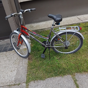 Jalgratas naiste noorte (8 foto / 10)