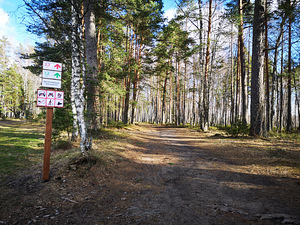 Järve tee 6, Klooga, Lääne-Harju vald, Harjumaa (46 foto / 49)