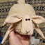 Овцы (фото #5)