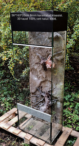 Terraariumid (6 foto / 10)