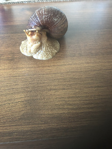Tigu Akhantina Tigu (4 foto / 4)