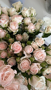 Vajatakse florist-müüjat (1 foto / 1)
