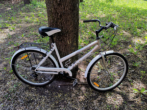 CLASSIC Elegance naiste jalgratas (5 foto / 5)