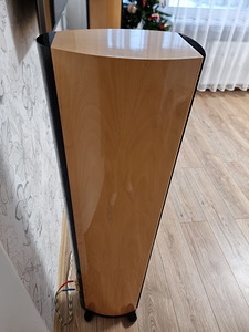 PIONEER S-H810V HI-END kõlarite komplekt (3 foto / 7)