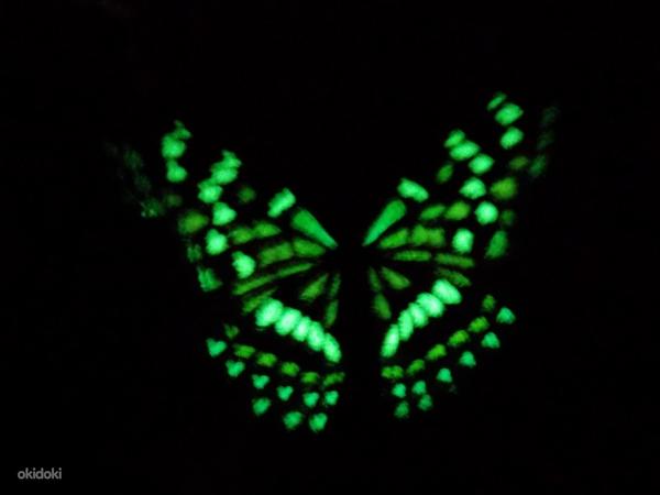 Бабочки на магнитах 12 шт, двойные крылья. Люминисцентные (фото #7)