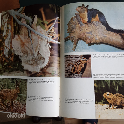 Loomade entsüklopeedia (foto #4)