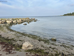 Oru-Mihkli, Pärispea, Kuusalu vald, Harjumaa (24 foto / 35)