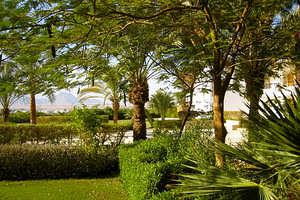 EDEN ROCK HOTEL (7 foto / 10)