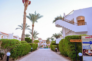 DIVE INN RESORT (4 foto / 10)