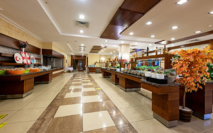 VIKING STAR HOTEL (9 фото из 10)