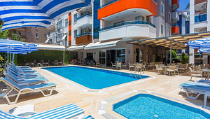 LONICERA CITY KLEOPATRA (8 foto / 9)