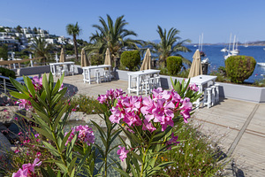 DIAMOND OF BODRUM (4 foto / 11)
