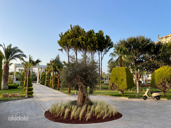 LAUR HOTEL EXPERIENCE & LAUR HOTELS ELEGANCE