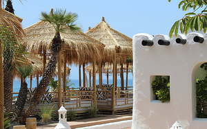 HYATT ZIVA JARDIN TROPICAL TENERIFE (5 foto / 10)