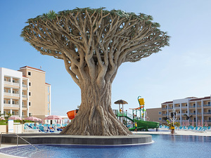 BAHIA PRINCIPE EXPLORE FANTASIA(EX.FANTASIA TENERIFE) (3 foto / 10)