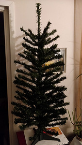 Kuuseehted, kuusejalg ja kuused (3 foto / 3)