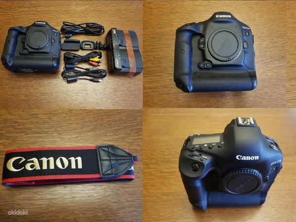 Новый Canon Eos 1dx + tamron sp 70-200mm f/2.8 di vc usd g2 (фото #1)