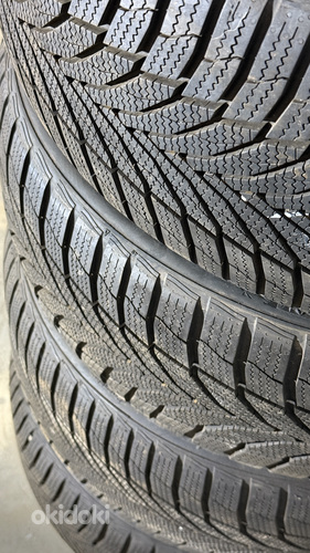 NEXEN WINGUARD MS R19 rehvid