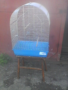 Linnupuur