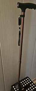 Трость