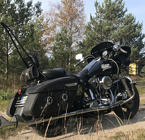 Harley-Davidson Road King V2 (4 foto / 6)