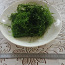 Stringy moss мох + Java moss яванский мох (фото #1)