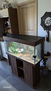 Akvaarium 150L Juwel (3 foto / 3)