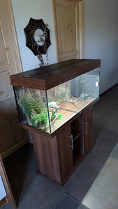 Аквариум 150L (1 фото из 3)