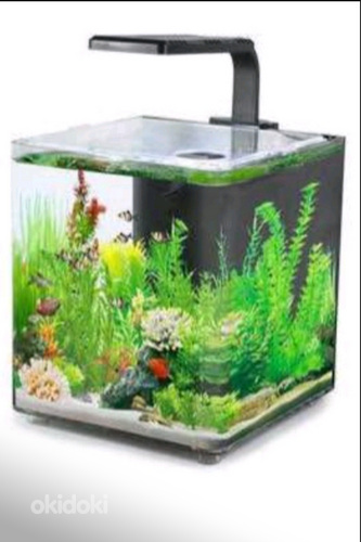 Аквариум AQUACLEAR DESKTOP TANK AC10 9.4л 243x203x233мм