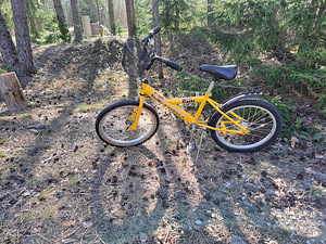Jalgratas 20 tolli (3 foto / 3)