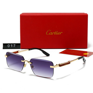 Uued päikeseprillid Cartier, Gucci, Prada, Versace, LV (6 foto / 10)
